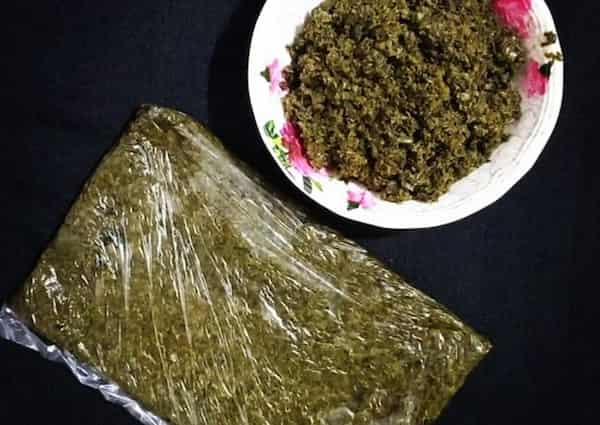 تصویر 5 از خرید سبزی قورمه رستورانی + قیمت فروش استثنایی